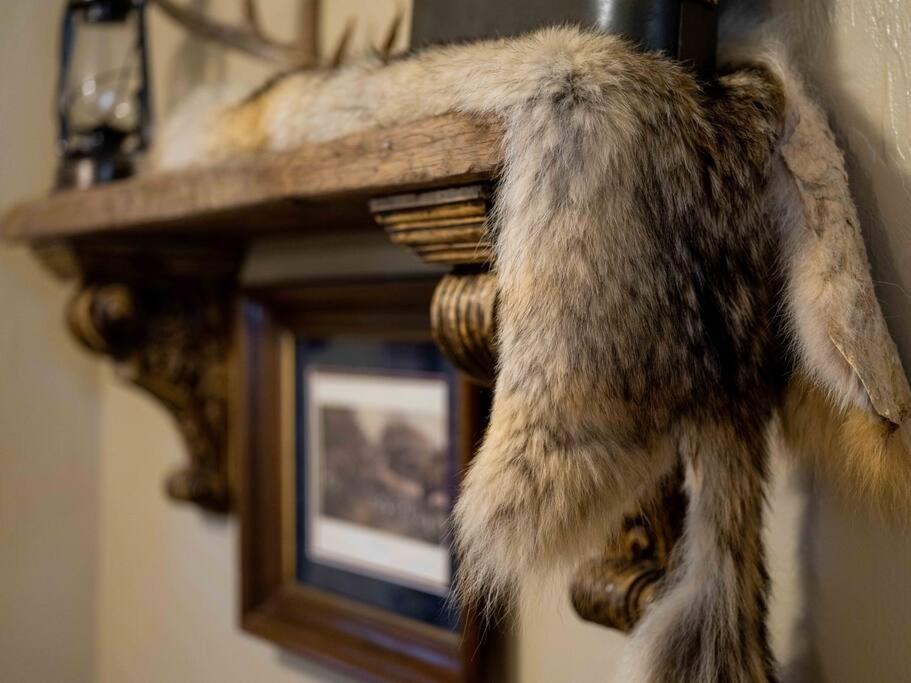 Stonegate Lodge Bear'S Den Kitchen, Pool, Firepit, Wifi ,Smart Tvs Юрика-Спрінгс Екстер'єр фото